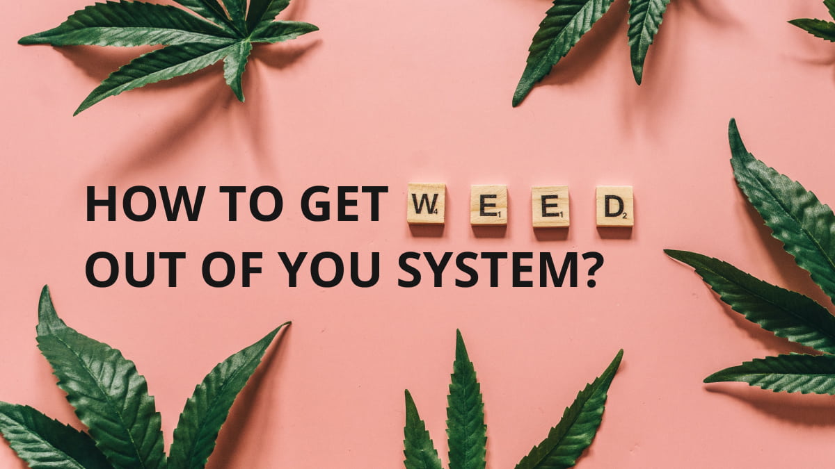 How to Get Weed Out of Your System Image